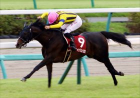 JRA天皇賞・秋（G1）「展開のカギ？」スティッフェリオ陣営は慎重……悪いジンクスも？