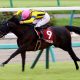 JRA丸山元気「変な下がり方すんな!」後輩を公開説教!? 妹弟子・藤田菜七子ら若手台頭に、この秋「8勝」止まりの“焦り”か……