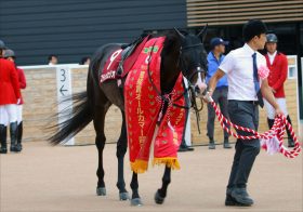 JRAスティッフェリオ「逃げ」連対率100％！ AJCC（G2）で逃げ切ったオールカマーの再現なるか？