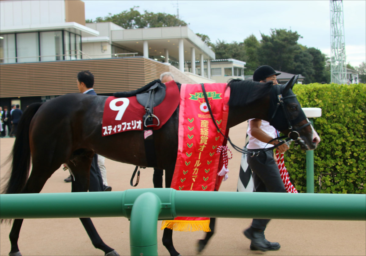 JRA ・AJCC(G2)「関係者情報」ブラストワンピース軸も見逃せない「爆穴の使者」発見!の画像2