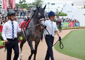 香港C（G1）JRAウインブライト「アーモンドアイに代わり主役」松岡正海も太鼓判だが心配は？
