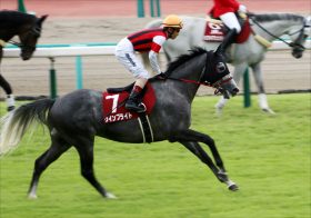 JRA中山記念（G2）が「まるでG1」!? インディチャンプVSウインブライト、最優秀短距離馬と最優秀4歳上牡馬が激突！