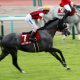 JRA天皇賞・秋(G1)アーモンドアイに立ちはだかる「高い壁」。女傑ウオッカ・ブエナビスタも越えられず……。芝G1・8勝以外に思わぬジンクスが