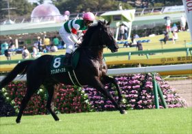 JRAニュージーランドT（G2）を「3点」で完全攻略!?　“慧眼な関係者”たちの「強力現場ネタ」で伏兵を狙い撃ち？