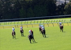 JRAカラテ東京新聞杯（G3）制覇に“更なる謎”!? マイル界・新星を支えた「大脱走」パートナーに捧げる“政権交代”の報せ