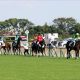 JRA安田記念でオグリキャップの劇的勝利再び!?アーモンドアイ、グランアレグリア、モーリスに続く人気馬の敗退も…想像を超える結末に導くこの伏兵馬!