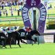 JRA安藤勝己氏「個人的にタイプやわ」ベタ惚れしたのは意外な馬!? 名手のお気に入りはダノンスコーピオンより「コソッと押さえたい」実力の持ち主