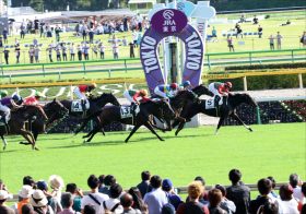 JRAリアアメリア「モノが違う」敵関係者お手上げ。アーモンドアイに匹敵する名牝へ