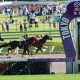 元JRA藤田伸二氏、岩田康誠の「好判断」を大絶賛!? フェブラリーS(G1)インティ武豊が逃げられず「一番のファインプレーは康誠」
