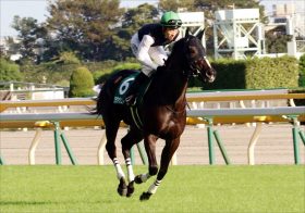 JRA阪神JF（G1）「2強斬り？」クラヴァシュドールに期待大……牡馬トップクラス・サリオスと五分の戦い