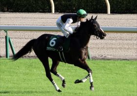 JRA「大不振」中内田厩舎がまさかの重賞未勝利……連敗ストップをかけるローズS（G2）クラヴァシュドール、リアアメリアの”仕上がり”に注目