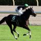 川田将雅「デアリングタクトに挑戦できる器」VS元JRA安藤勝己「牝馬3冠は揺るぎない」ローズS(G2)リアアメリア復活勝利も見解に大きな隔たり