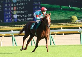 JRAコントレイル最大のライバル・サリオスに迫る「春全休」の危機!? ドバイ＆豪州で有力視も現在570キロ超「雄大過ぎる馬体」がもろ刃の剣に