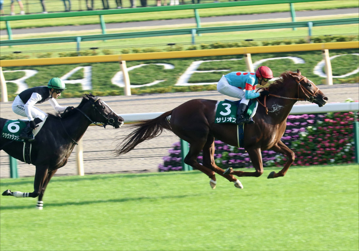 JRA朝日杯FS（G1）ルメール✕ラウダシオンが自信満々!? サリオス陣営も不動……東西有力情報をゲット！の画像2