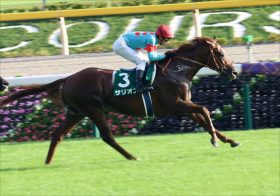 【朝日杯FS（G1）枠順確定】JRAサリオス2歳王者戴冠なるか？　最重要ポイントが決定