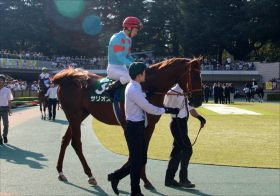 JRA皐月賞（G1）「3強から脱落」サリオスに立ちはだかる大きな壁!? コントレイル、サトノフラッグとの決定的な違いとは?