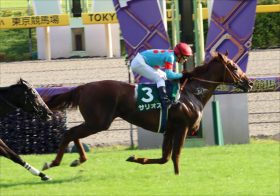 【朝日杯FS（G1）展望】JRA「G1完全制覇」目指す武豊VS大本命サリオス！ 2歳王者決定戦で未来の一流マイラーが激突！