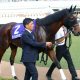 JRA川田将雅、“極上馬質”確保も「空き巣」失敗!? 1番人気で「6連敗」の大誤算。年始の誓い「壇上のセンター」以前の問題か……
