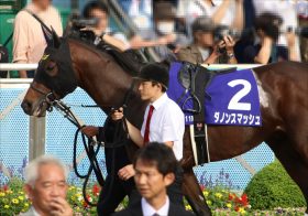 JRAセントウルS（G2）ダノンスマッシュ三浦皇成とコンビ続行は割引!? 川田将雅より悲惨な重賞成績にG1制覇さらに遠のくか