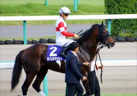 JRA驚異の「回収率725%」三浦皇成、安田記念（G1）は相性抜群！ 初コンビ・ダノンスマッシュで見えた悲願のG1制覇