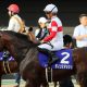 JRA池添謙一スプリンターズS(G1)「無念の降板」に意外な救世主登場!? 「代打の神様」が”新パートナー”とグランアレグリアに挑戦状