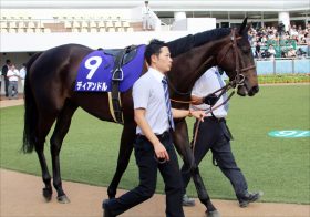 JRAシルクロードS（G3）「4歳No.1」ディアンドル「ロードカナロア2世」に向け登竜門に挑む！