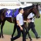 JRAシルクロードS(G3)1200m「覚醒」レッドアンシェルに要注目!!