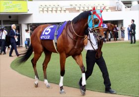 JRAアイビスSD（G3）イベリスに流れる千直巧者の血が目覚めるか!?　姉は連覇達成のアノ馬！ ライオンボス狩りに浜中俊も色気あり