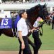 JRAセントウルS(G2)ダノンスマッシュ三浦皇成とコンビ続行は割引!? 川田将雅より悲惨な重賞成績にG1制覇さらに遠のくか