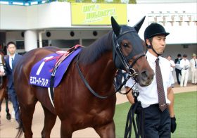 JRAモズスーパーフレアは「独り旅」濃厚!? スプリンターズS（G1）楽逃げに意外な“アシスト”で、「11年ぶり」の快挙か