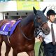 JRAスプリンターズS(G1)栗東・美浦直通(秘)トーク!! グランアレグリア×ルメールの信頼度は? 「アノ陣営」の不穏な話も……