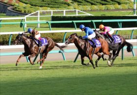 JRAシルクロードS（G3）モズスーパーフレア「中山専用機」の京都参戦に漂う暗雲