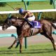 JRAアーモンドアイ危うし「世界No.2」マジカルと香港C激突へ!? 「日本の至宝」VS「超タフクイーン」実現は