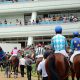 JRA有馬記念(G1)“立場逆転”で「池添ロス」が発生!? ラスト1枠がまさかの「鞍上未定」で、無念の降板ジョッキー、調教師転身のアノ人の可能性は……