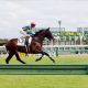横山典弘VS武史の「親子対決」が実現!ソールオリエンスが克服すべきタイトルホルダーとの違い…「菊花賞の勝ち方」教えた父が握るカギ