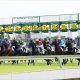 JRA M.デムーロ「弟、ムカつく(笑)」ジャパンC当日に起きた「伏線」に決着!? 阪神JF(G1)サークルオブライフで“リベンジ”達成!