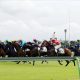 JRA「ウマ娘」藤田晋オーナーの快進撃に急ブレーキ!? 新人オーナーに降りかかった競馬の“洗礼”…日本ダービー(G1)参戦を見据える使い分けが招いた「2つの悲劇」とは