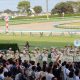 JRA有馬記念(G1)「非情」乗り替わり……阪神JF(G1)1番人気ナミュール敗戦は「タックル被害」が決定打!? 武豊「今後が楽しみです」逸材が年末のホープフルS(G1)を回避【週末GJ人気記事ぶった斬り!】