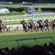JRAスプリンターズSの“5つのテーマ!”ナランフレグ、シュネルマイスター、メイケイエール陣営の本音を見極める方法とは。