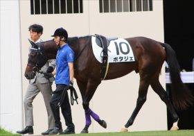 JRA川田将雅に捨てられた「4連勝中」の素質馬ポタジェ……。まさかの乗り替わりで暗雲立ち込めるも、「出世」の後押しとなる可能性大