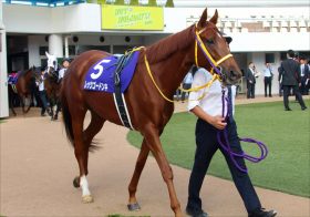 JRA「稀代の人気馬」レッツゴードンキ全弟が岩田康誠を背にデビュー目前！ 姉激似の愛くるしさでファン人気沸騰寸前!?