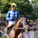 JRAジャパンC(G1)「三つ巴」ムードの下馬評に異変!? 早くもアーモンドアイ”一強”ムード…… ”不穏な噂”が付きまとうあの馬に「三強脱落」の危機