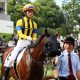83%馬券になる「前年2着馬」が10番人気で14万馬券ゲット!?