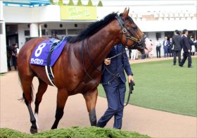 JRA京王杯SC（G2）タワーオブロンドンの敵は「雨予報」!? 東京の「超高速馬場」が大歓迎の理由