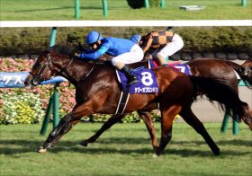 JRAスプリンターズS（G1）タワーオブロンドンが回避！ 意外な形で「鞍上問題」解決も、新たな課題が浮き彫りに……