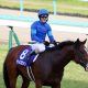 JRAリアアメリア「匹敵する馬出てこない」関係者一同お手上げの強さ。単なる「矯正中」で楽々勝利の戦慄