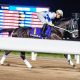 JRA「ダート王」候補がまさかの回避!? フェブラリーS(G1)にもつながる登竜門「1強」不在で混戦模様も、アノ騎手には嬉しい誤算か
