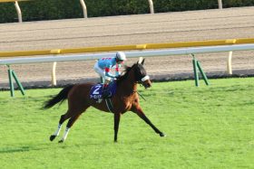 JRA「最強決定戦」アーモンドアイVSリスグラシュー！ 世界を制した歴史的名牝の対決は……