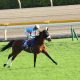 JRA有馬記念(G1)リスグラシュー×レーン騎手で名誉挽回!? 16年ぶり「特例」も思い出される「日本ダービー1番人気」の悪夢