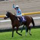 JRA安田記念(G1)アーモンドアイに「黄色信号」!? 無敗の2冠馬誕生は波乱のサインか。過去には馬連「6万馬券」も……